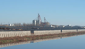 Feedlot