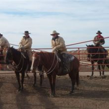 Pen riders use horses to work cattle