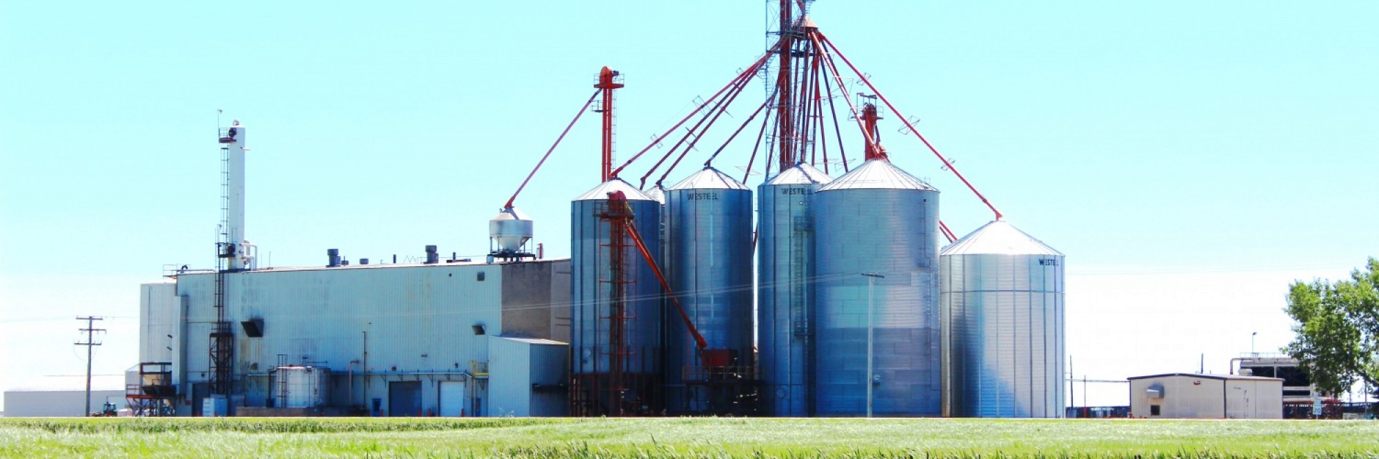 Canada’s First Integrated Feedlot / Ethanol Facility